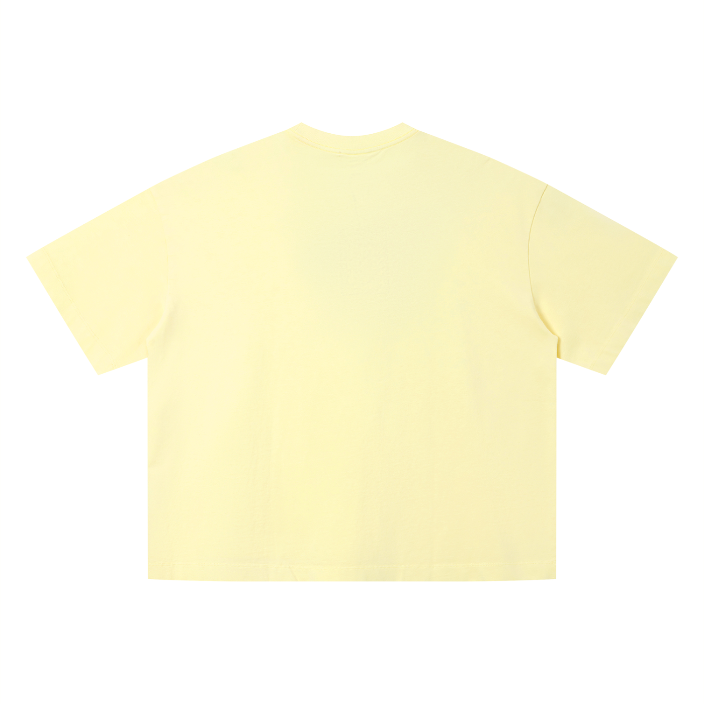 Salera Rang Unisex Vintage Wash Boxy T-Shirt